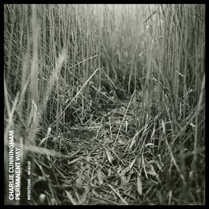 亚洲AV超清不卡在线网络
